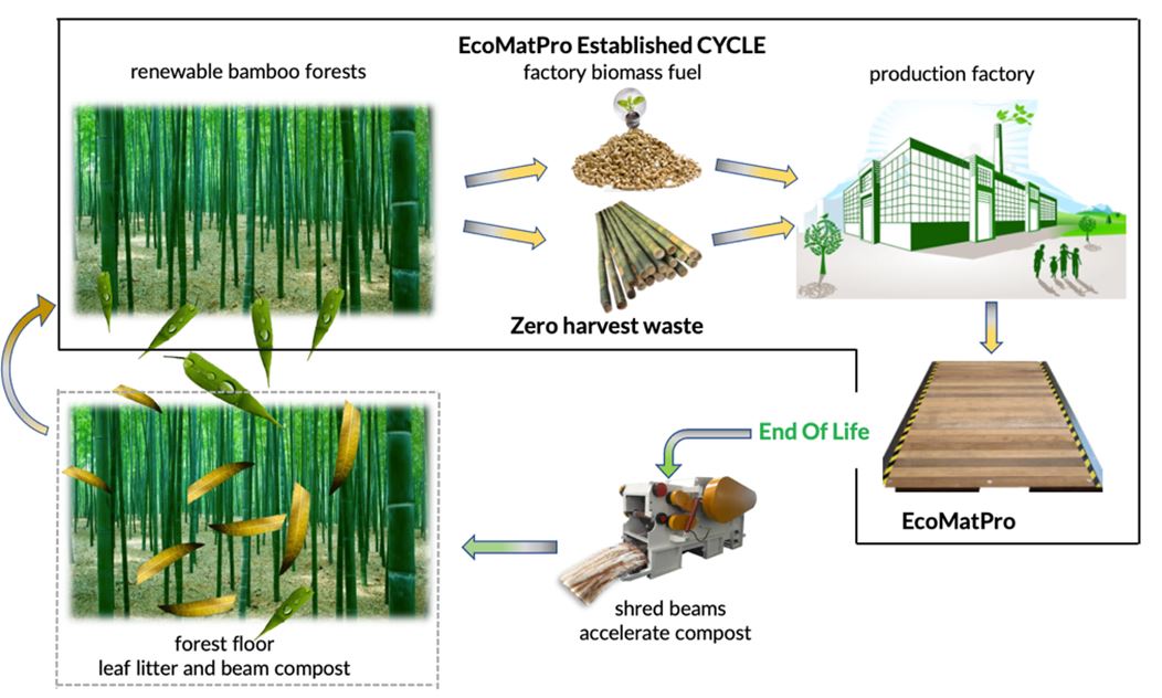 Bamboo's Ability to Store Carbon Called Into Question