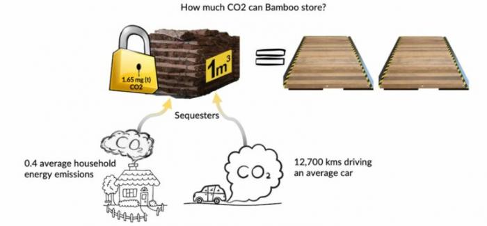 how much co2 can bamboo store