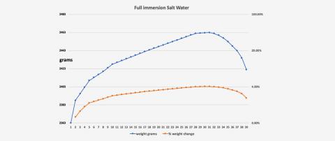 Salt Water Testing